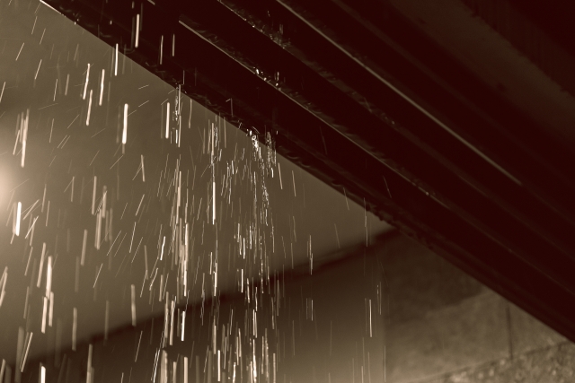 雨漏りが招くカビと健康被害｜アレルギー・喘息リスクに注意