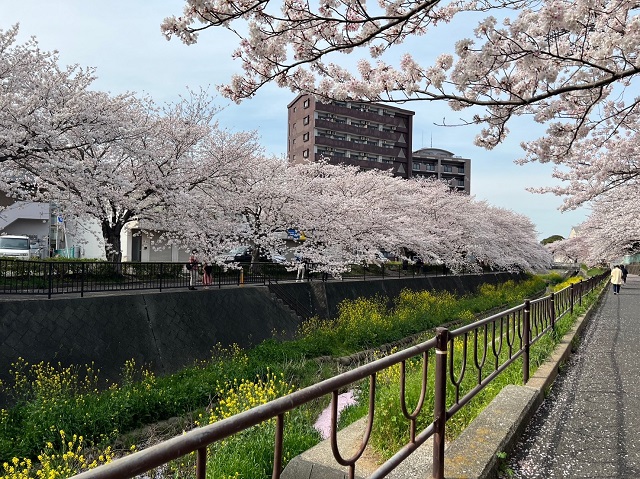 【4月～新年度スタート】社長ブログを更新しました！