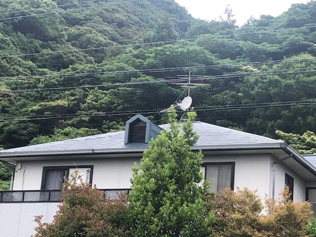 2019年6月9日（日）