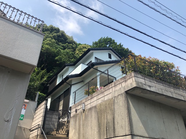 2019年6月5日（水）