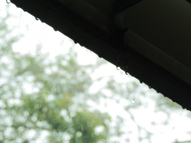 【予想外の梅雨】社長ブログを更新しました！